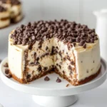 Delicious slice of Chocolate Chip Cheesecake Cake topped with chocolate chips.