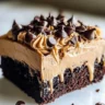 Chocolate Peanut Butter Poke Cake topped with chocolate and peanut butter sauce