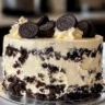 Decadent Cookies and Cream Oreo Cake topped with Oreo cookie crumbles