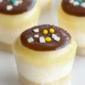 A selection of popular Filipino desserts including leche flan and bibingka.