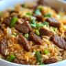 Delicious plate of Onion Beef Fried Rice with fresh vegetables and beef pieces