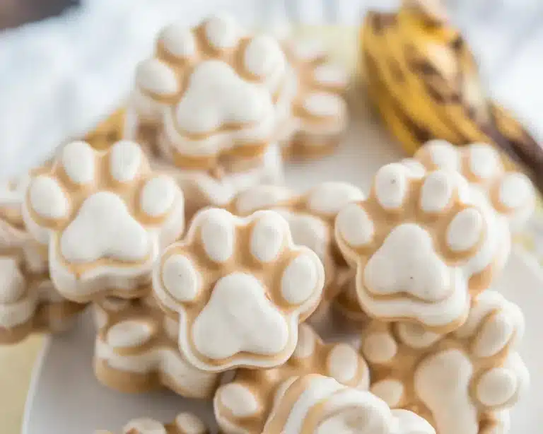 7 Wholesome Dog Ice Cream Recipes Your Pup Will Love