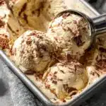 Tiramisu Ice Cream Recipe: A Chill Twist on a Classic Dessert 2 A bowl of creamy tiramisu ice cream with coffee and cocoa powder topping.