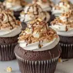 Hershey’s S’mores Cupcakes with chocolate frosting and graham cracker crust