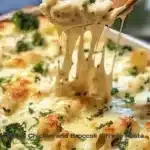 Cheesy Baked Chicken and Broccoli Alfredo Pasta 2 cheesy baked chicken and broccoli alfredo pasta 2025 10 16 213637 150x150 1