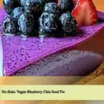 no bake vegan blueberry chia seed pie 2025 09 07 185551 150x150 1