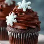 Chocolate Cupcakes with Vanilla