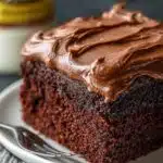 Chocolate Mayonnaise Sheet Cake