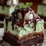Mint Chocolate Chip Ice