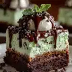 Mint Chocolate Chip Ice