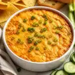 simple-buffalo-chicken-dip-2026-05-22-214626-817x1024-1